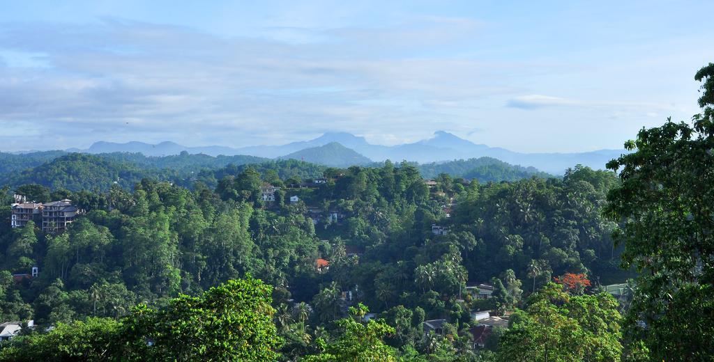 Primrose Inn Kandy Habitación foto